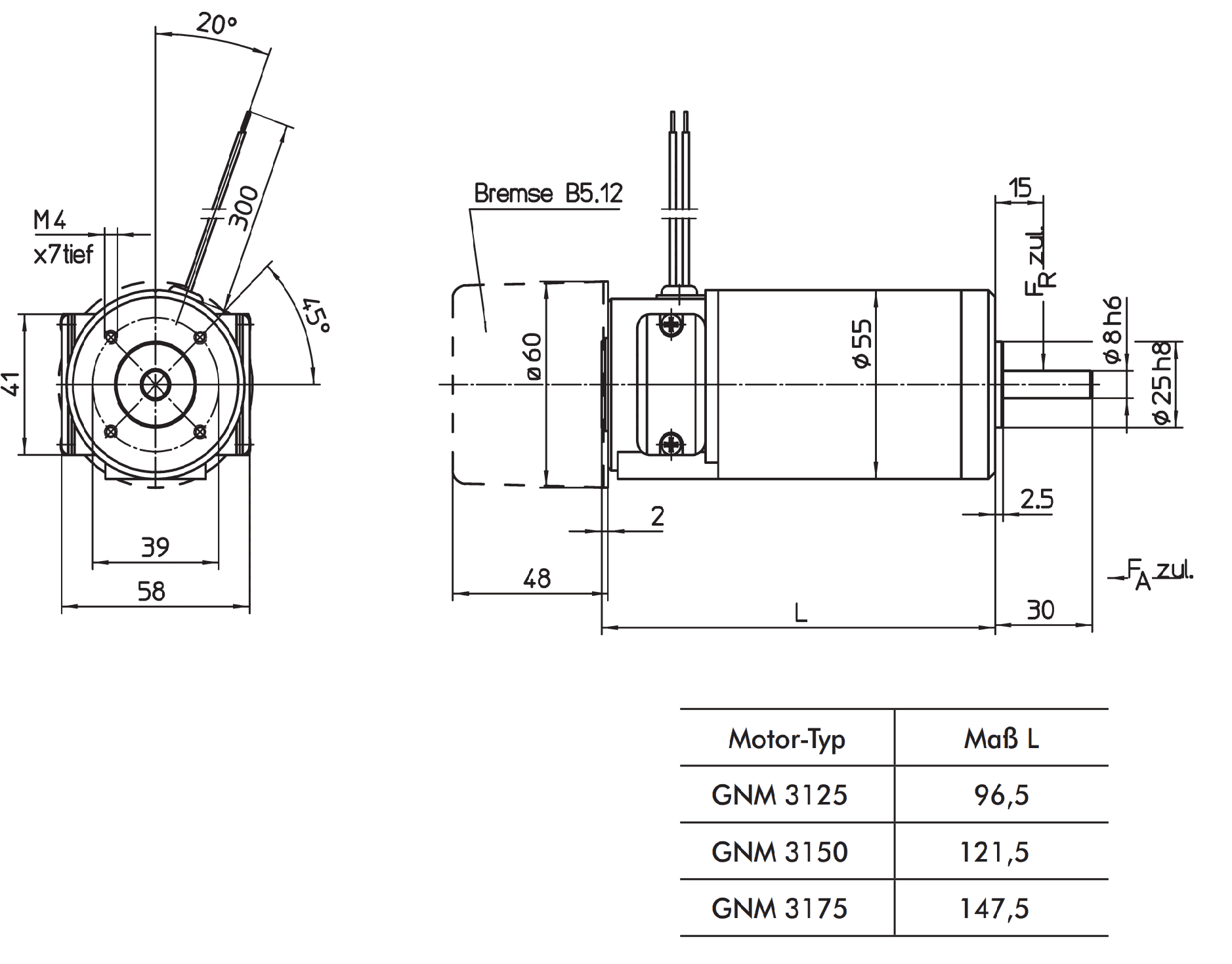 gnm31